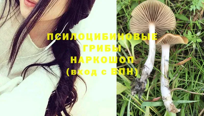 Псилоцибиновые грибы MAGIC MUSHROOMS Коммунар