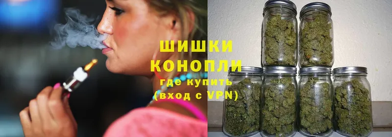 Бошки марихуана сатива  Коммунар 